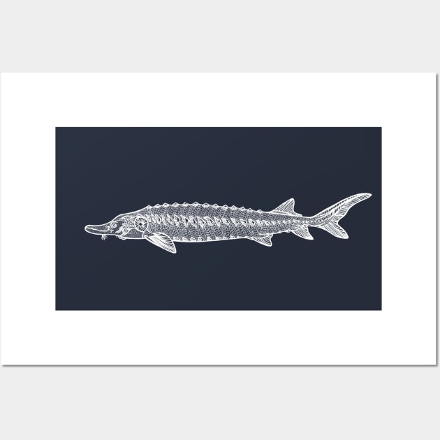 Common Sturgeon fish drawing for animal lovers Wall Art by Green Paladin